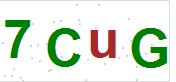 看不到验证码？点击重新换一个！
