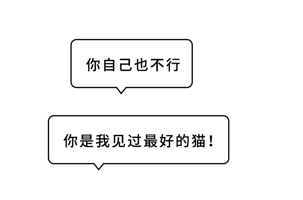 图片 5.png