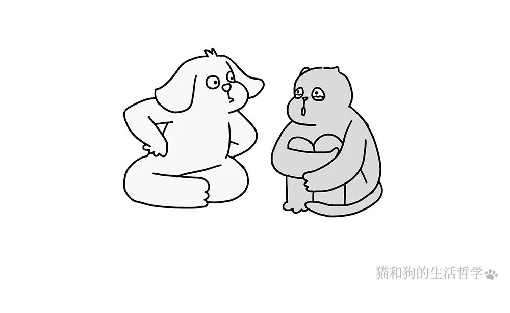 图片 6.png