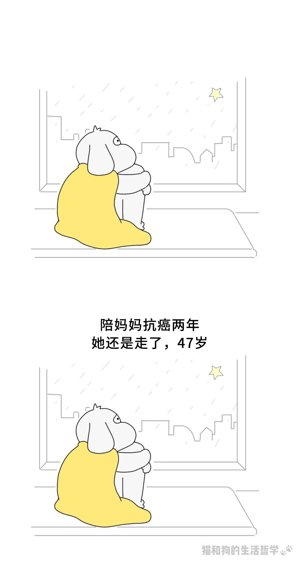 图片 15.png
