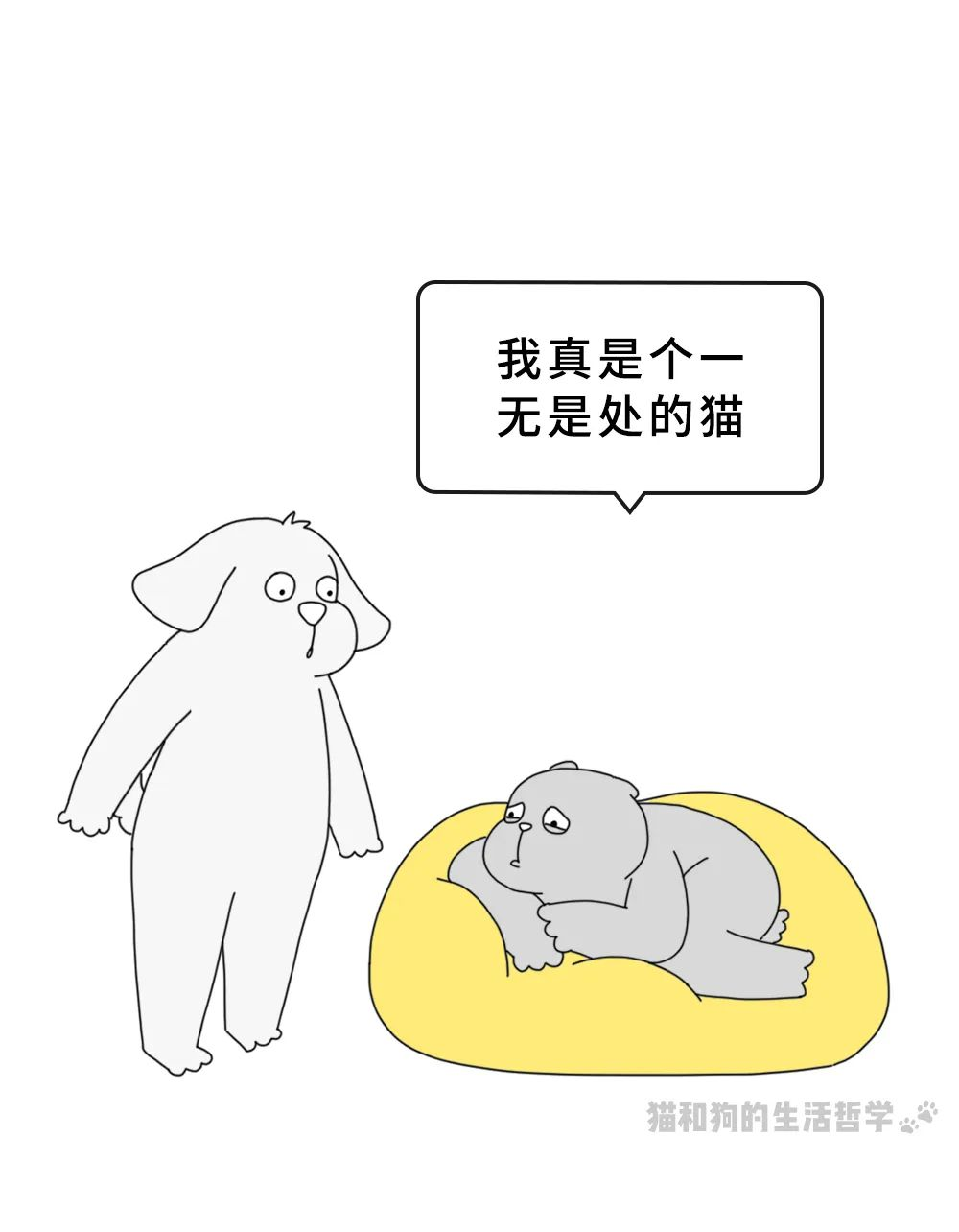 图片 23.png