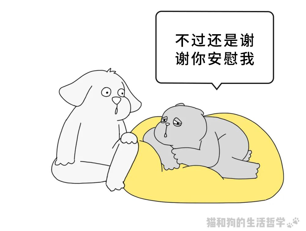 图片 26.png
