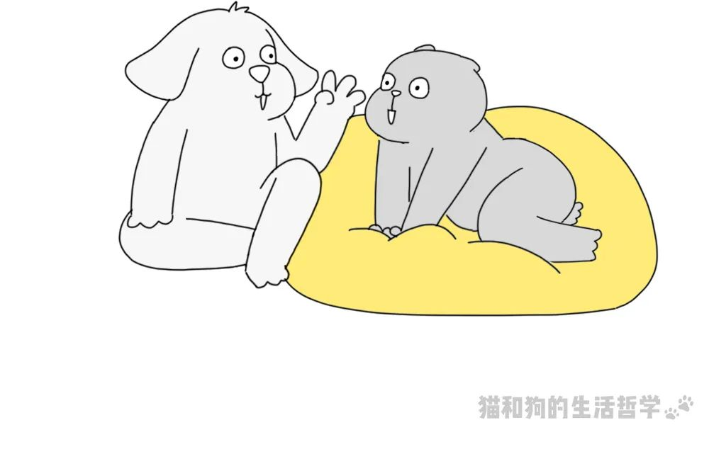 图片 28.png