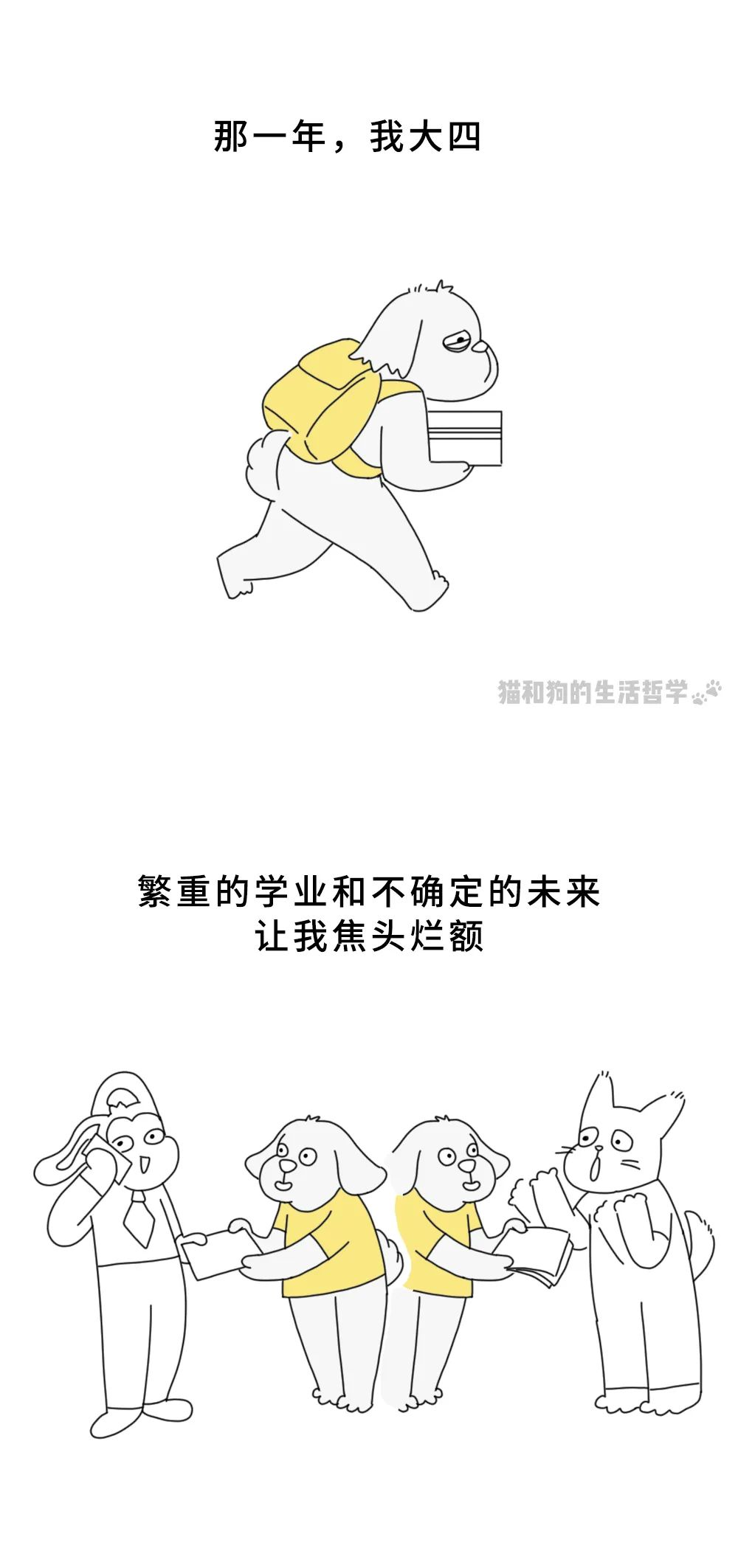 图片 30.png