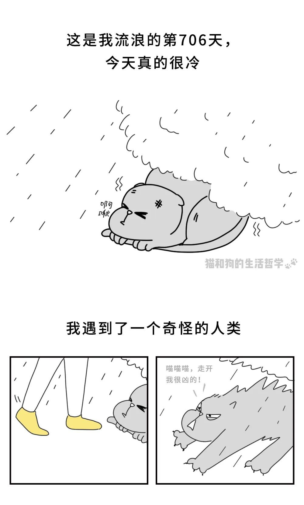 图片 38.png