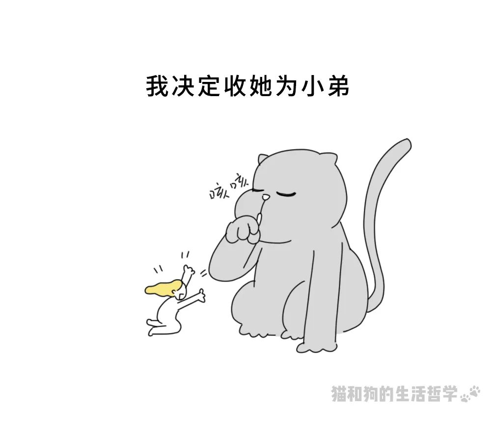 图片 40.png