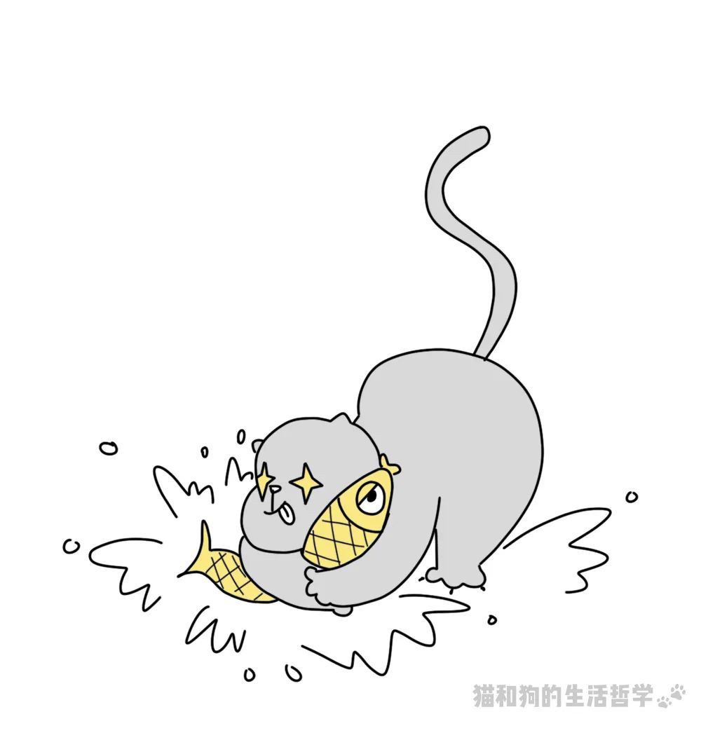 图片 42.png