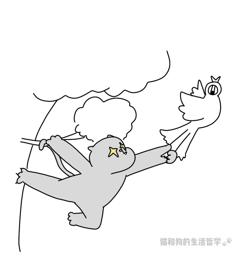 图片 44.png