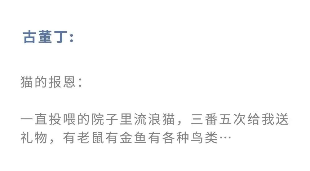 图片 47.png