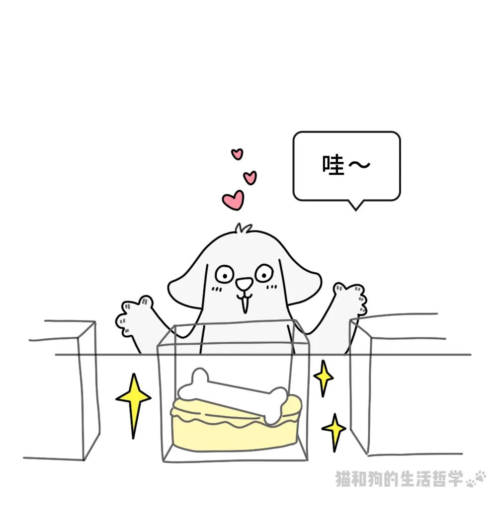 图片 51.png