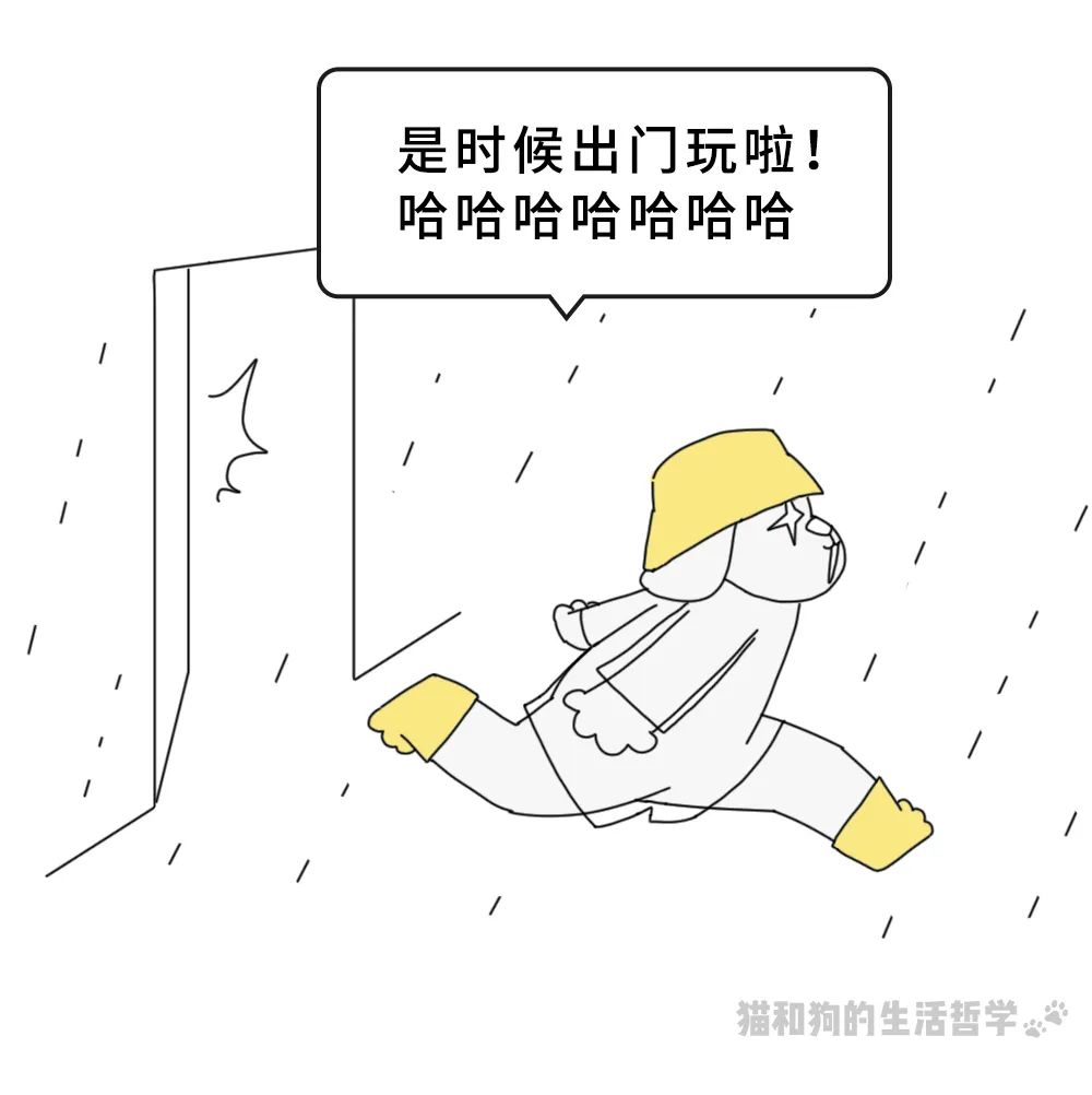 图片 61.png